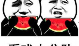 吃瓜表情怎么怼,揭秘网络舆论场的智慧较量