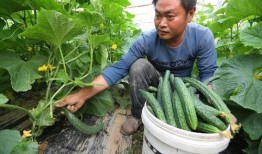 绝佳吃瓜人2,揭秘“绝佳吃瓜人2”的精彩幕后