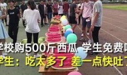 科技学院吃瓜后续,揭秘事件真相与后续发展