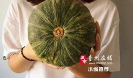 怎么吃石缝瓜好吃,解锁最佳食用秘诀
