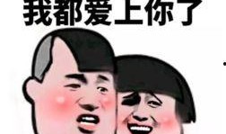 张典吃瓜表情包,网络热传的幽默瞬间