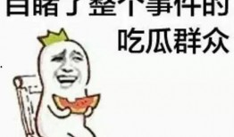 吃瓜群众的演讲,吃瓜群众视角下的社会现象解读