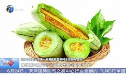 吃蜜瓜回忆,一段甜蜜的童年记忆