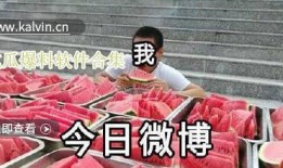 吃瓜爆料 在线观看高清,畅享娱乐盛宴