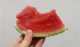 吃瓜涨修为,从围观到修为提升的奇妙旅程