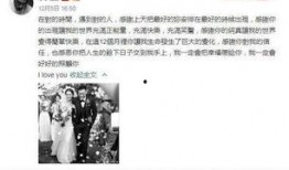 姚莹吃瓜事件,揭秘娱乐圈的“瓜田”风波