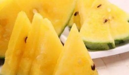 21年吃瓜图,盘点那些年我们一起“吃瓜”的瞬间