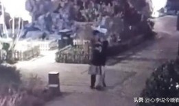 敲门吃瓜原视频,揭秘背后故事与网友热议