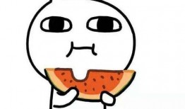 吃瓜群众任先生,揭秘吃瓜群众的趣味生活
